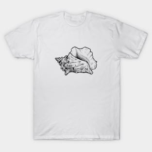 Conch Shell T-Shirt